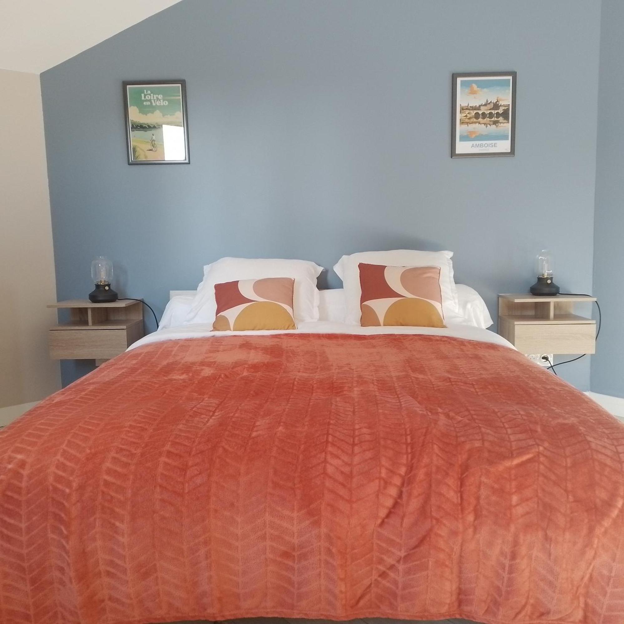 أمبُواز O 87 - Chambres D'Hotes المظهر الخارجي الصورة